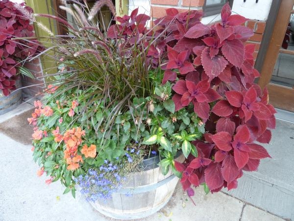 Outdoor Container Flower Gardening - Garden Notes - ANR Blogs