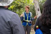 The expertise of UC Cooperative Extension advisor Beatriz Nobua-Behrmann, seen here training volunteers to spot signs of invasive shothole borers in Southern California, is now informing the ISHB response of Northern California communities. Photo by Krystle Hickman, UC IPM