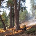 A lack of liability insurance for practitioners has been a major barrier to increasing the use of prescribed fire to reduce wildfire fuels. Photo by Lenya Quinn-Davidson