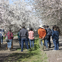 Orchard growers learn about cover crops at an almond orchard in Colusa County. Photo by Evett Kilmartin