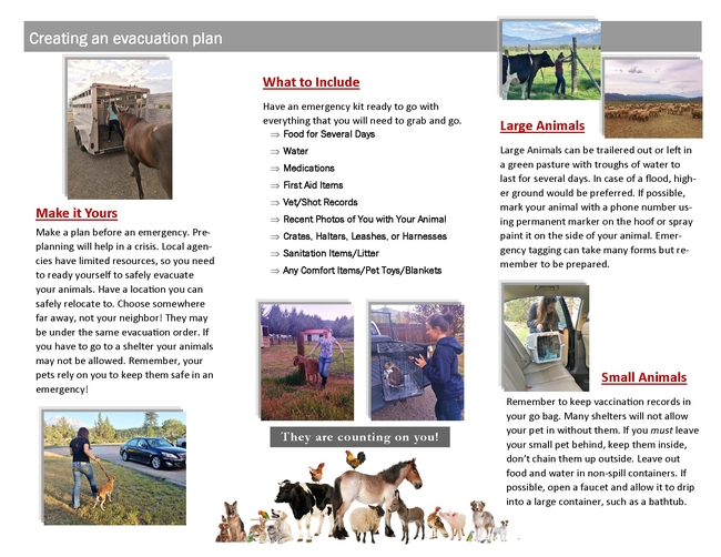 A sample page from a brochure with tips to prepare pets and livestock for evacuation