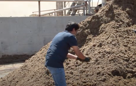 Pandey grabs a handful of processed manure from what looks like a pile of dry soil that is a few feet taller than he is.