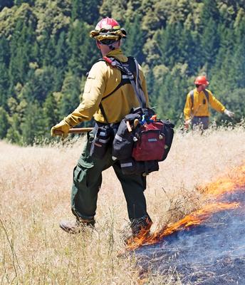 Reforms needed to expand prescribed burns