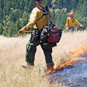 A recently published study states that management policies continue to prioritize fire suppression over preventative measures, such as prescribed fire. Photo by Evett Kilmartin