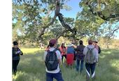Nine people gather around a person speaking beneath a blue oak tree under a blue sky.