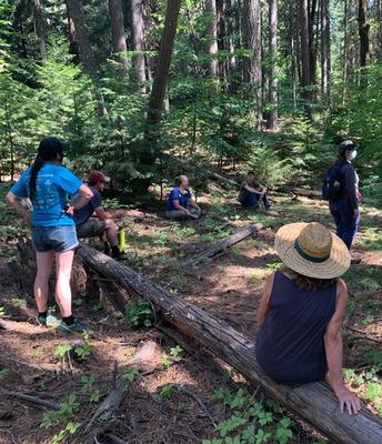 Connecting California’s forest landowners with California Tree School