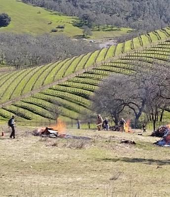 Wildfire preparedness strategies for farms covered in UC ANR webinars