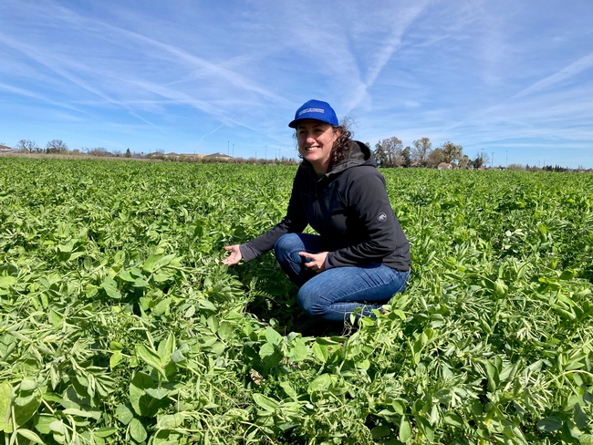 Sarah is wearing a blue UC ANR hat and crouching in a luscious green field under a blue sky.