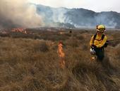 Dressed in yellow protective helmets and jackets, prescribed burn personnel use drip torches to ignite dry grass in a pasture.