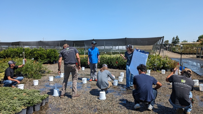 A group of people are hunched down, measuring water collected in buckets.