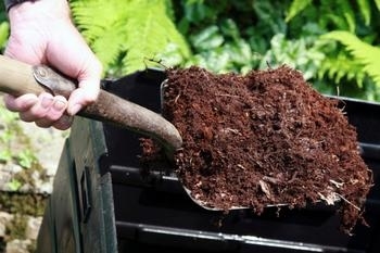 A shovel full of worm-based compost