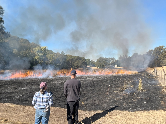 Two people stand on the edge of a blackened field with a line of flames.