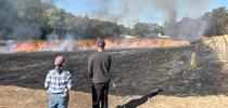 Adina Merenlender, Professor of Cooperative Extension, and John Bailey, Hopland REC director, observe the prescribed burn. for Green Blog Blog