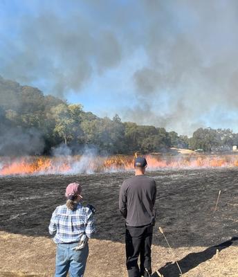 Good fire is back at the Hopland Research and Extension Center