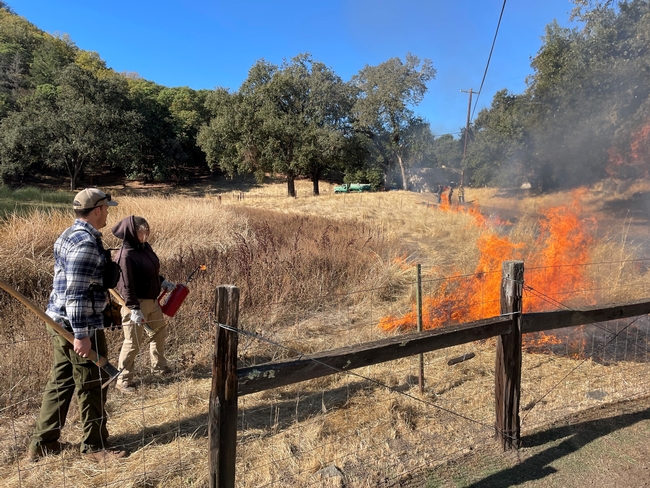 Two people standing in dry grass face a small patch of flames.