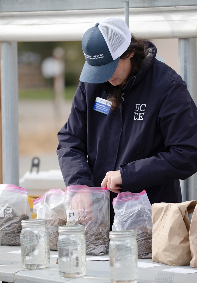 Lindsey reaches into a plastic bag to grab a handful of soil. Three jars of water are lined up in front of bags of soil.