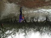 Helen Dahlke studies groundwater recharge in a flooded almond orchard.