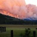 The Moonlight Fire of 2007, which burned about 70,000 acres, is an example of a high-intensity fire.