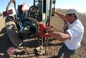 Taking a soil sample at UC Davis' Russell Ranch.