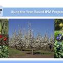 Year-round IPM ensure effective pest control with least harm to the natural environment.