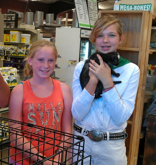 Halie Pringle (left) and Emma Couvillon of the Vaca Valley 4-H Club, Vacaville, with a ready-to-adopt kitten. (Photos courtesy of Victoria Pringle)