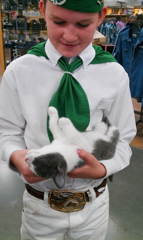 Makenna Caulfield of the Roving Clovers 4-H Club, Dixon, with kitten Everest.