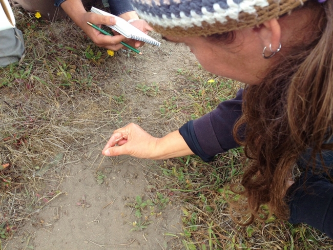 Co-instructor Meghan Walla-Murphy shares tips to identify wildlife tracks.