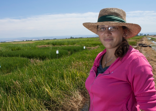 Doctoral student Whitney Brim-DeForest researches invasive rice weeds.