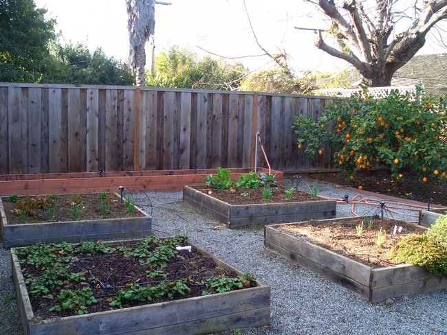 Raised garden beds help retain water better than gardens planted in open soil.
