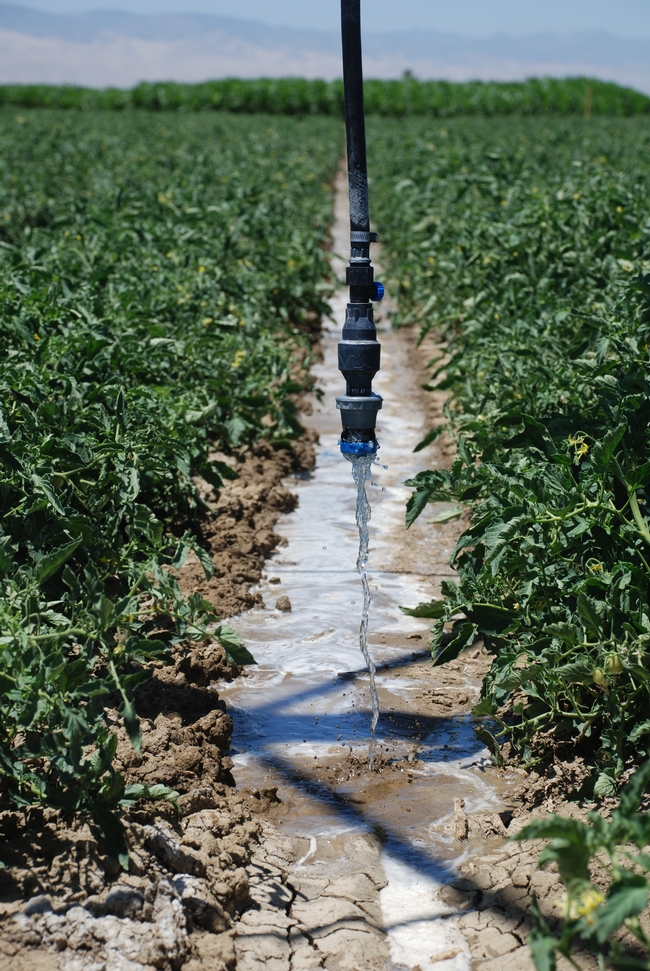 Overhead irrigation can help save water on farms.