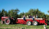 Visitors tour a farm in the Sacramento Delta region during pear harvest season.