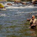Jeff Thompson, California Trout's executive director, does a little fly fishing on the McCloud River. He played a crucial role in establishing the organization's partnership with UC Davis to ensure that research, teaching, and outreach on wild trout, salmon, and steelhead will continue for many years.