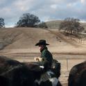 After light rain in December and January, a ranch manager uses feed supplements to make up for less forage.