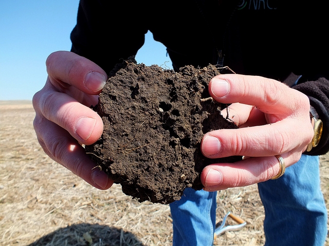 International Year of Soils aims to raise awareness about the vital natural resource beneath our feet. (Photo: NRCS)
