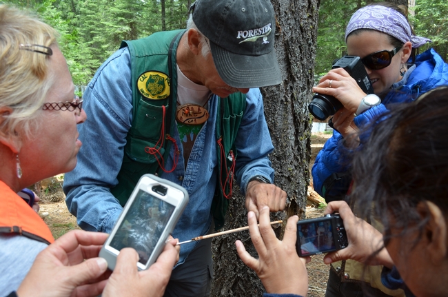 Mike De Lasaux shows FIT participants how to measure the age of trees by taking a core sample and counting the rings.