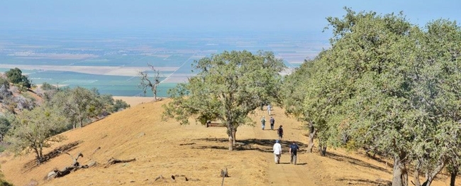 Naturalists at Tejon Ranch Conservancy hike through oak woodland overlooking agricultural fields, two iconic California landscapes.