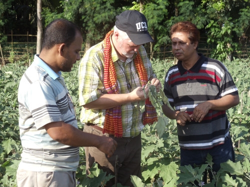 Barlow helps Bangladeshi growers identify pest problems