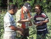 Barlow helps Bangladeshi growers identify pest problems