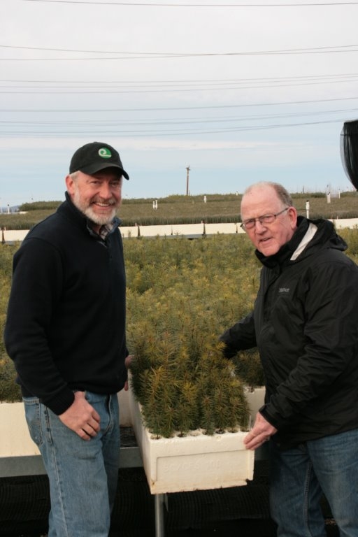 Dan Desmond, East Lake RCD director and UC ANR Cooperative Extension advisor emeritus (right), and Mark Egbert, El Dorado RCD manager, show ponderosa pine seedlings from this year's crop.