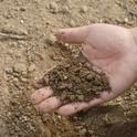 Soil is an often overlooked tool to fight drought.