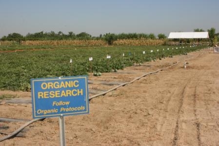 Ten acres at Kearney are set aside for organic research.