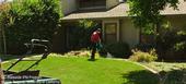 Maintenance gardener applying pesticides in home landscape.