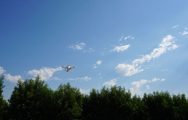 The drone hovers over an orchard at the UC Kearney Agricultural Research and Extension Center.