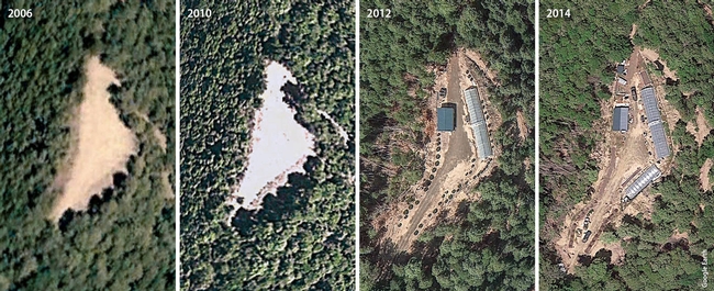 This series of satellite images shows the development of a greenhouse complex in a Humboldt County forest.