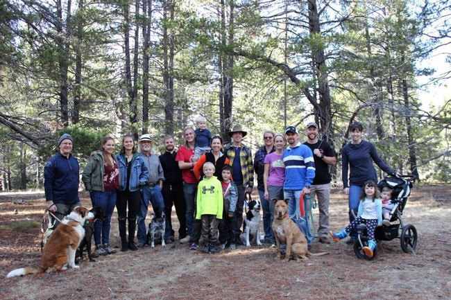 A group of friends and family gather in the forest to harvest Christmas trees. (Photo: Yolanda Tuckerman)