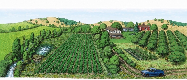 Diversified farms could include crops, pastures, orchards and woodland. (Photo: Xerces)