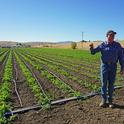 Organic farmer Phil Foster stands in front of a field with cover crops planted in strips at the top of the planting bed.