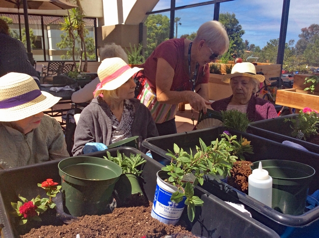 A UC Master Gardener volunteers and participants touch, move, smell, hear and see the joys of manipulating soil during a workshop with Alzheimer's San Diego's (AlzSD). Photo: Debbie Handal