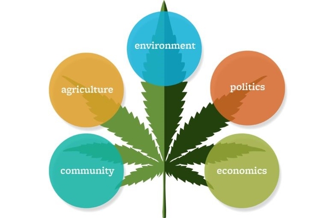 A new Cannabis Research Center will be directed by  Van Butsic and Ted Grantham, both UC Cooperative Extension specialists in UC Berkeley's Department of Environmental Science, Policy and Management. (UC Berkeley graphic by Hulda Nelson)