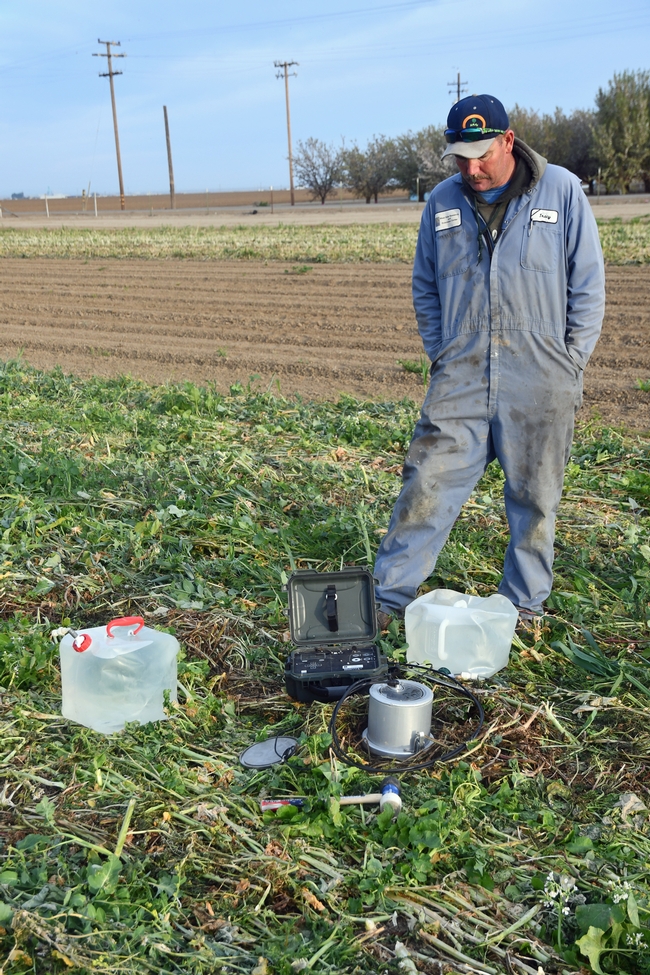 UC West Side REC agricultural technician Tracy Waltrip conducting soil hydraulic conductivity determination in the NRI Project field.